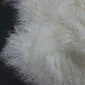 Close-up of ivory Mongolian lambskin rug showing long, curly wool texture. detail view