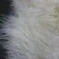 Close-up of ivory Mongolian lambskin rug showing long, curly wool fibres.