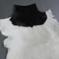 Natural goatskin rug featuring a large black patch at the top and a cream white body with an irregular edge.