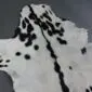 Natural goatskin rug with white fur, a black dorsal stripe, and black spots.