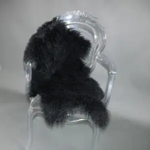 Mongolian Lambskin Rug Black