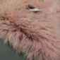 Close-up of a dusty pink sheepskin rug with long, thick wool fibres and a small white product tag.