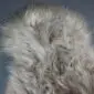Long-haired Icelandic sheepskin rug in a nude beige tone with a natural, shaggy texture.