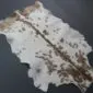 Natural goatskin rug with white fur, brown spots, and a dark brown stripe down the centre. detail view