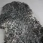 Grey Curly Gotland Sheepskin Rug GOT218 (3) Natural grey Gotland sheepskin rug with dense, curly wool texture.