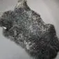 Grey Curly Gotland Sheepskin Rug GOT218 (5) Natural grey Gotland sheepskin rug with a thick, curly wool texture and irregular organic shape.