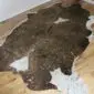 Brown and White Gold Metallic Cowhide Rug CM268 (2) Natural brown and white cowhide rug with gold metallic splatters on a wooden floor.