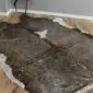 Brown and White Gold Metallic Cowhide Rug CM268 (3) Large brown and white cowhide rug with metallic gold speckles and natural irregular edges.