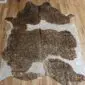 Natural shaped cowhide rug with brown and white patches and metallic gold speckles.
