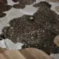 Close-up of a brown and white cowhide rug featuring speckled gold metallic accents across the natural hair texture.
