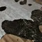 Close-up of a brown and white cowhide rug with metallic gold speckles and natural hair texture.