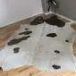 Natural cowhide rug with white and brown patches featuring metallic gold speckles.