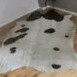 Natural cowhide rug with white and brown patches, featuring a gold metallic finish and irregular edges.