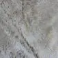 Close-up of a brown and white cowhide rug with metallic gold speckles and natural hair texture. detail view