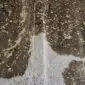 Brown and White Gold Metallic Cowhide Rug CM284 (1) Close-up of a brown and white cowhide rug with metallic gold splatters and natural hair texture.