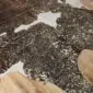 Brown and White Gold Metallic Cowhide Rug CM284 (4) Close-up of a brown and white cowhide rug featuring speckled gold metallic accents across the natural hair texture.