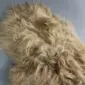 Close-up of a camel-coloured Icelandic sheepskin rug with long, thick, shaggy wool.