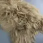 Close-up of a camel-coloured Icelandic sheepskin rug with long, textured wool fibres.