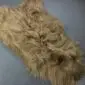 Long-haired camel coloured Icelandic sheepskin rug with a natural wavy texture.