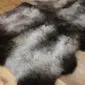 Large quad sheepskin rug with long, thick wool in mottled shades of grey, cream and dark brown.