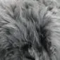Close-up of a grey sheepskin cushion showing thick, long-pile natural wool texture.