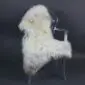 Rare Breed Sheepskin Rug RBL-46 (2) Large rare breed sheepskin rug with long, thick cream and grey wool laid flat.