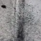 Close-up of a speckled cowhide rug featuring grey and white hair with a dark central stripe.