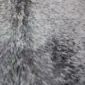 Close-up of a speckled cowhide rug featuring a natural pattern of grey and white hair.