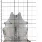 Natural shaped grey speckled cowhide rug displayed on a measuring grid.