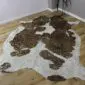 Brown and White Gold Metallic Cowhide Rug CM300 (2) Natural shaped cowhide rug with brown and white patches and gold metallic splatters on a wooden floor.