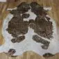 Brown and White Gold Metallic Cowhide Rug CM300 (3) Natural shaped cowhide rug with brown patches and metallic gold speckles on a white base.