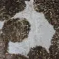 Brown and White Gold Metallic Cowhide Rug CM300 (4) Natural brown and white cowhide rug with metallic gold speckled finish.