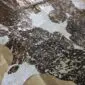 Brown and White Gold Metallic Cowhide Rug CM300 (5) Natural brown and white cowhide rug with metallic gold splatters and patches.