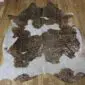 Natural shaped cowhide rug with brown and white patches and metallic gold speckles.