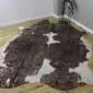 Natural shaped cowhide rug with dark brown and white patches featuring rose gold metallic splatters.