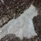 Close-up of a brown and white cowhide rug with metallic rose gold speckles.
