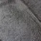 Close-up of a grey cowhide rug showing the natural hair texture and tonal variations.