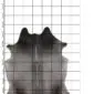 Natural grey cowhide rug with an irregular shape and gradient tones, displayed over a white grid background.