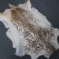 Natural goatskin rug with white edges and a speckled brown and tan centre pattern. detail view detail view