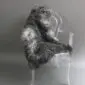 Grey Curly Gotland Sheepskin Rug GOT246 (1) Natural grey curly sheepskin rug laid flat.