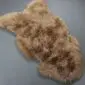 IMG_6328 Camel-coloured British sheepskin rug with thick, textured wool and a natural organic shape.