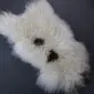 Natural white curly Icelandic sheepskin rug with two distinct dark brown spots on a grey background.