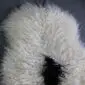 Natural white curly Icelandic sheepskin rug with a distinct black spot.