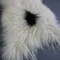 Natural white Icelandic sheepskin rug with long curly wool and a single black spot.