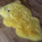 A thick, fluffy yellow sheepskin rug with an irregular natural shape on a wooden floor.