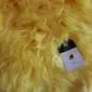 Close-up of a yellow sheepskin rug with long, thick wool fibres and a small purple product tag.