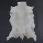 Goatskin Rug GS905 Natural white goatskin rug with grey and tan markings in a traditional hide shape.