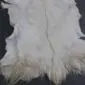 Natural white goatskin rug with long, textured fur and irregular edges .