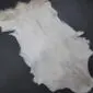 Natural white goatskin rug with an irregular shape and short hair, displayed .