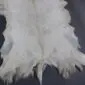 Goatskin Rug GS912b Natural white goatskin rug with long, textured fur and irregular edges.